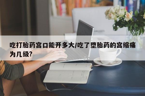 admin 第333页
