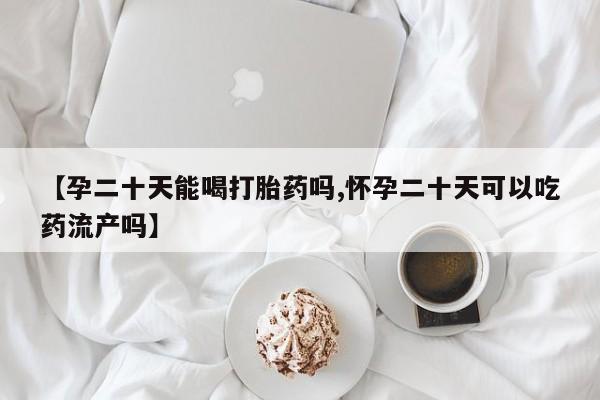 卖打胎药的微信【孕二十天能喝打胎药吗,怀孕二十天可以吃药流产吗】