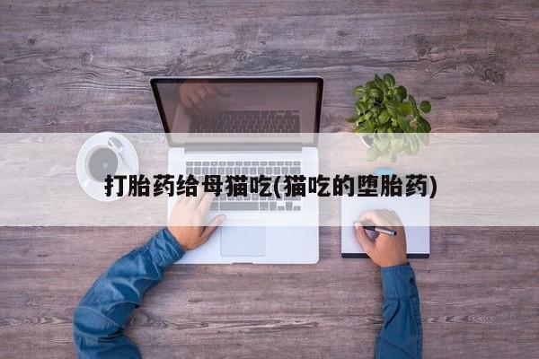 卖打胎药的微信打胎药给母猫吃(猫吃的堕胎药)