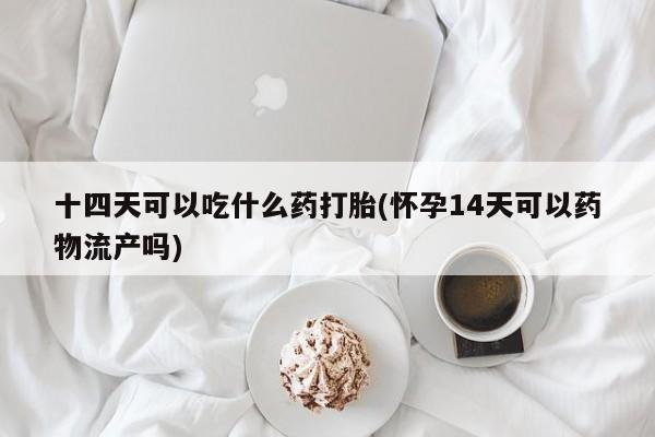卖打胎药的微信十四天可以吃什么药打胎(怀孕14天可以药物流产吗)